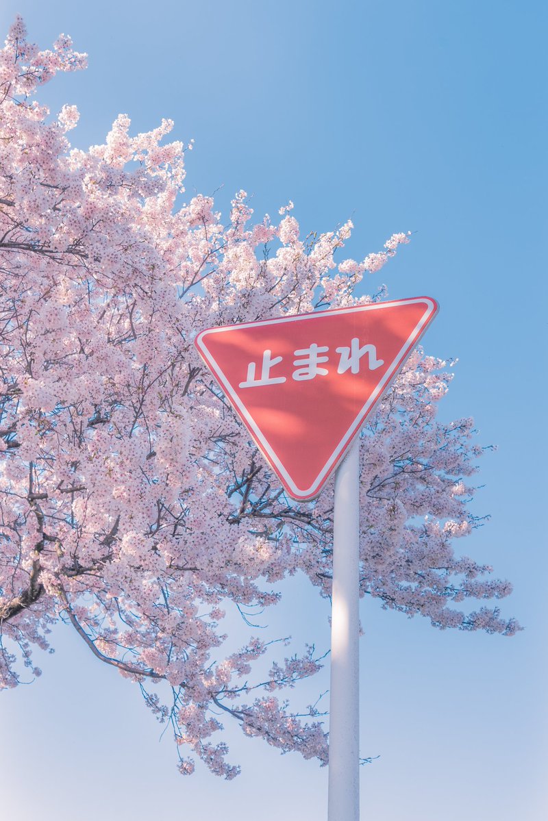 暦の上では春が来た。 