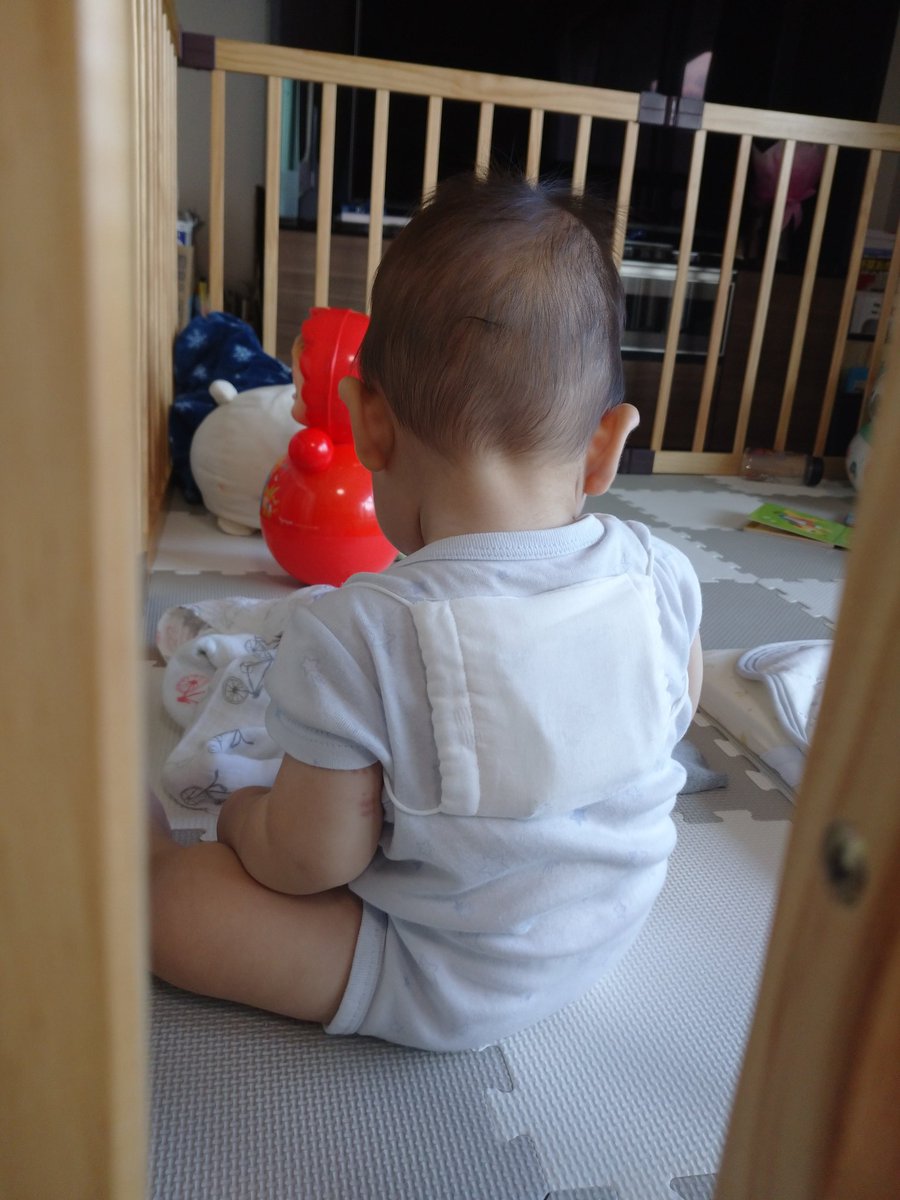 アベノマスクに保冷剤入れて背負わせるの、とても良い