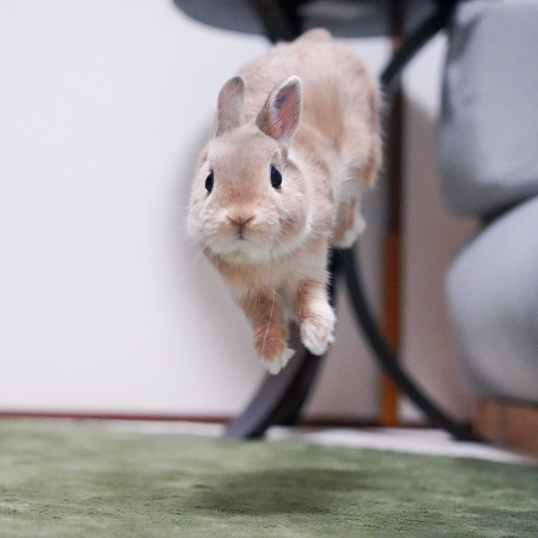 ←GWの計画を立ていた頃 →現実 