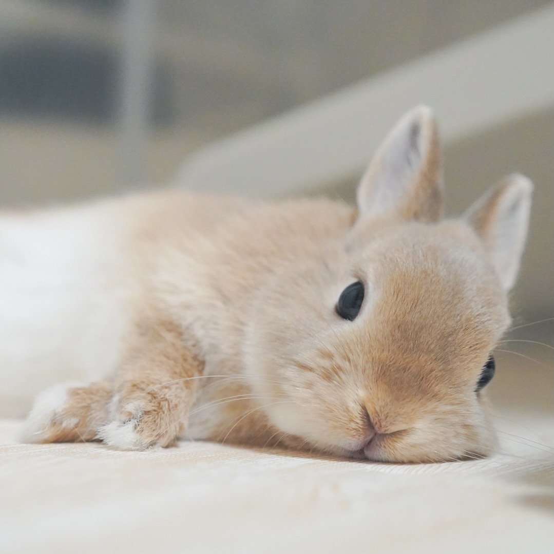 ←GWの計画を立ていた頃 →現実 