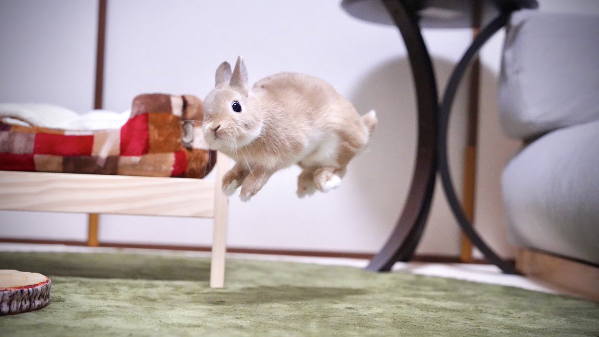 UFOに連れ去られる瞬間 