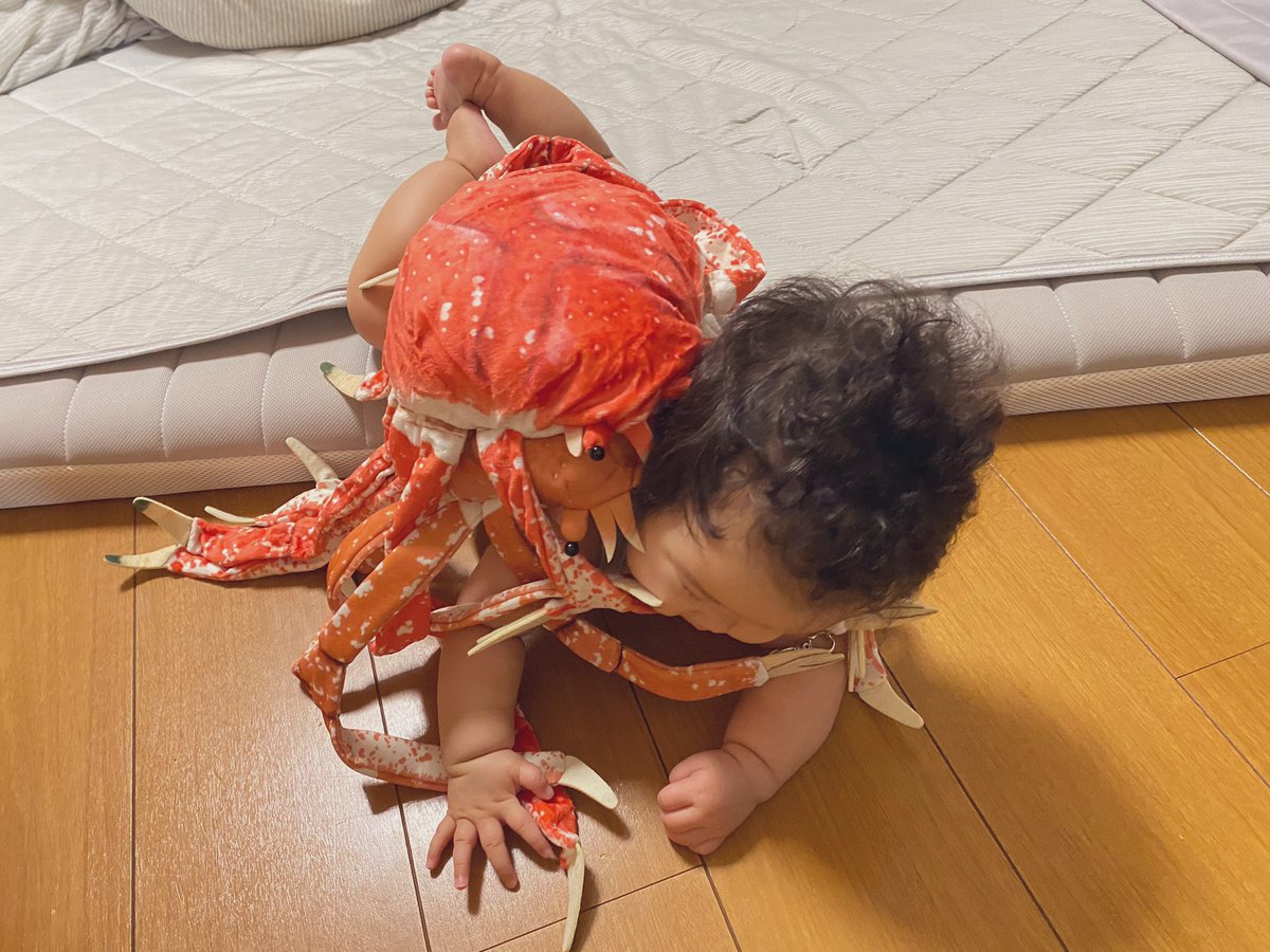 夫がフェリシモで注文してたタカアシガニのバッグが届いて、さっそく『タカアシガニに襲われる赤ちゃん』をやってた