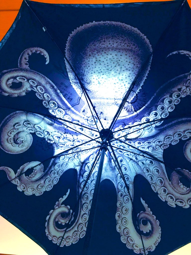 ずっと欲しかったサイコーにイカした、いやタコした傘が届いたよ〜〜〜〜持ち手までしっかりタコだかっこいーー