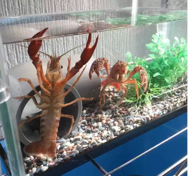 久しぶりに大爆笑した 