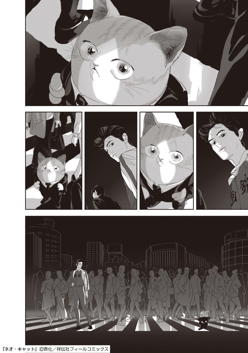 突然パリコレにスカウトされた話🐈 （1/4） 