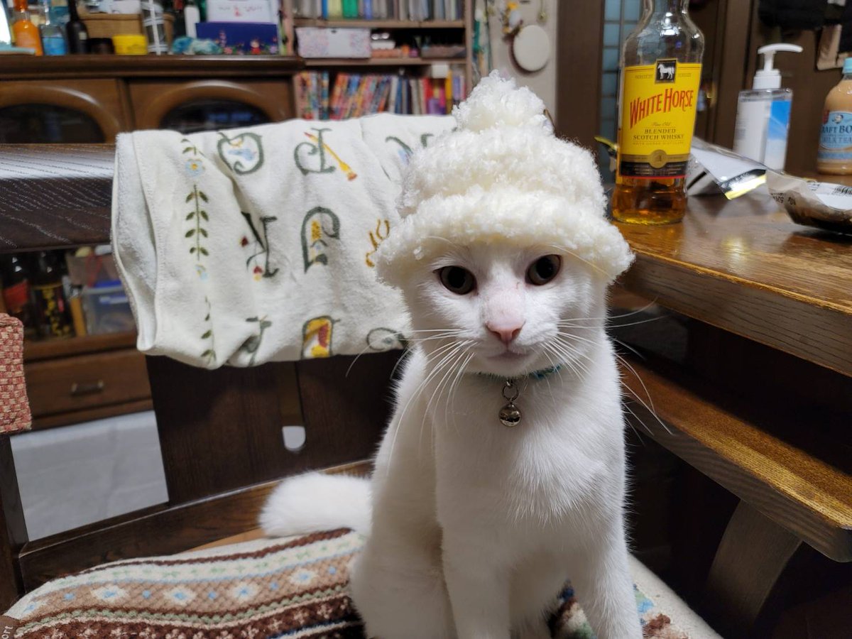 実家の母から「孫に帽子編んだけど小さすぎた」って送られてきた写真 