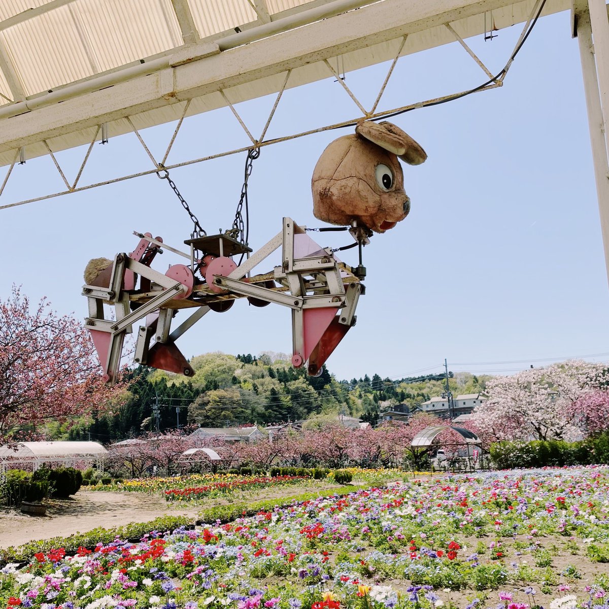 前世でどんな罪を？ 