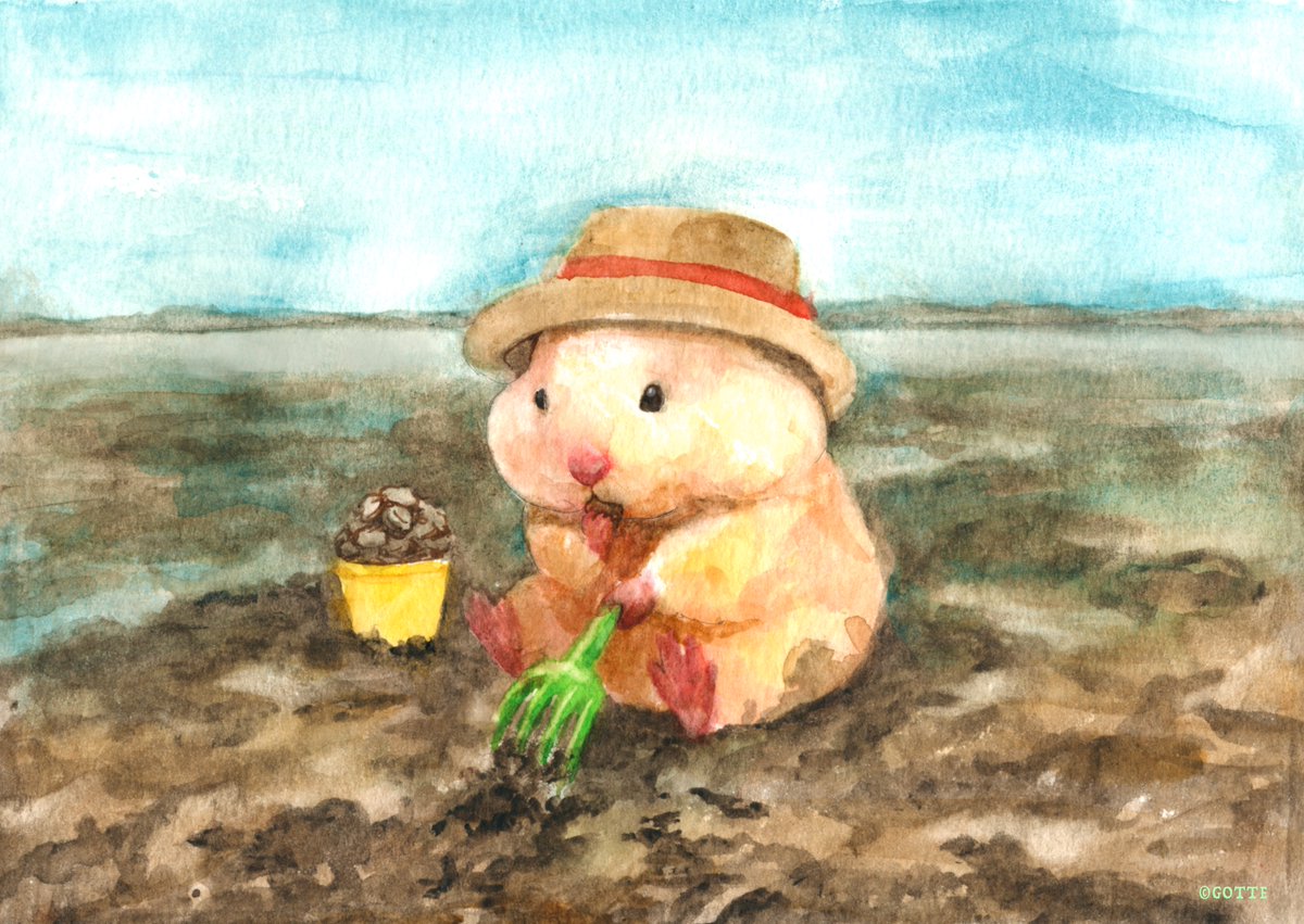 ハムスターのGW まとめ① ＃ハムスター助六の日常 