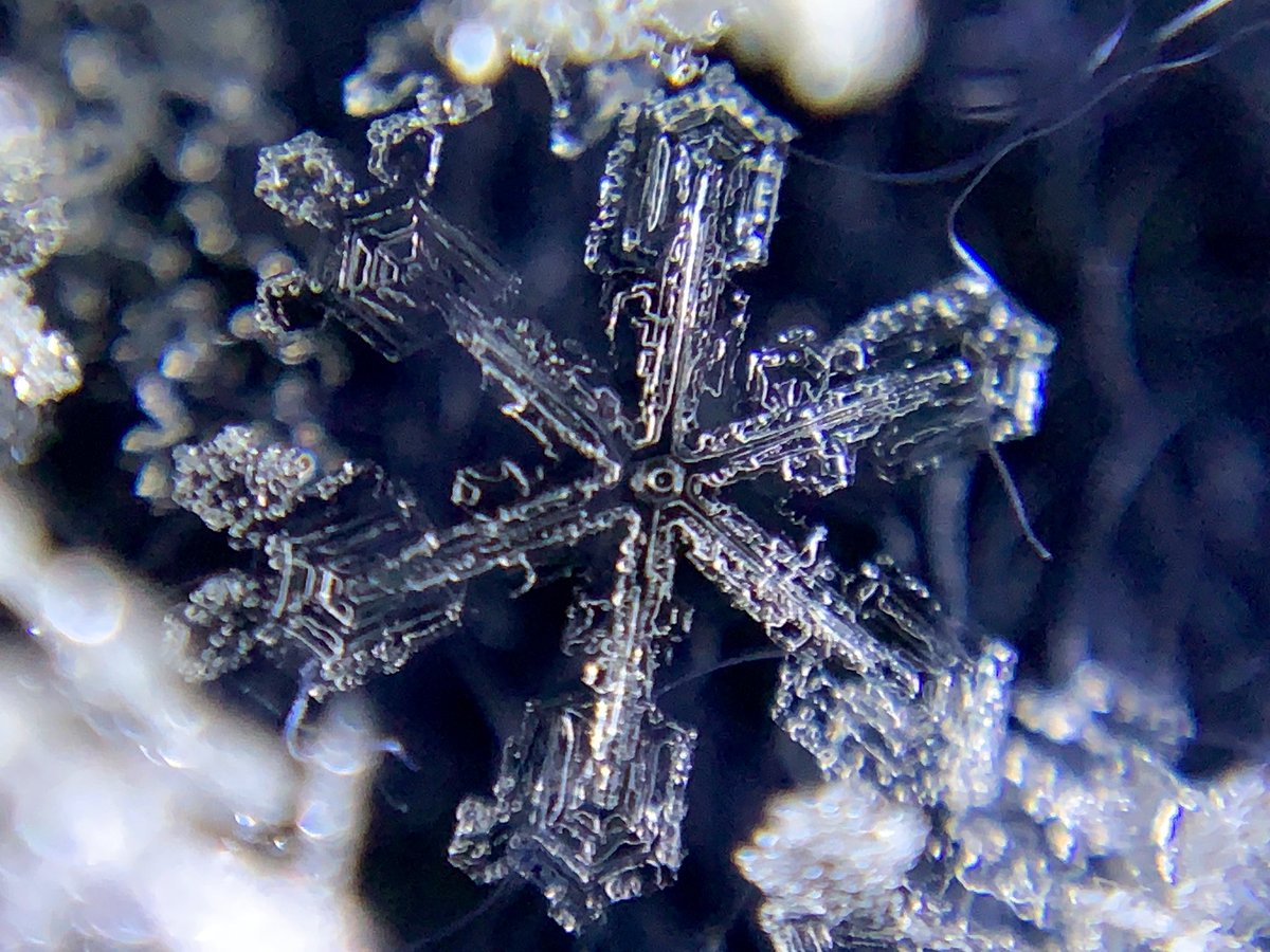 #アナ雪 をご視聴の皆様へ.雪結晶はスマホで撮影できます.100均のスマホ用マクロレンズを使うとスマホで手軽にめっちゃ綺麗な写真が撮れちゃいます.コツは最大ズームで接写して連写.マクロレンズつけて被写体から数cmでピントがあいます.世界が変わるのでこの冬に雪が降ったらぜひお試し下さい❄️
