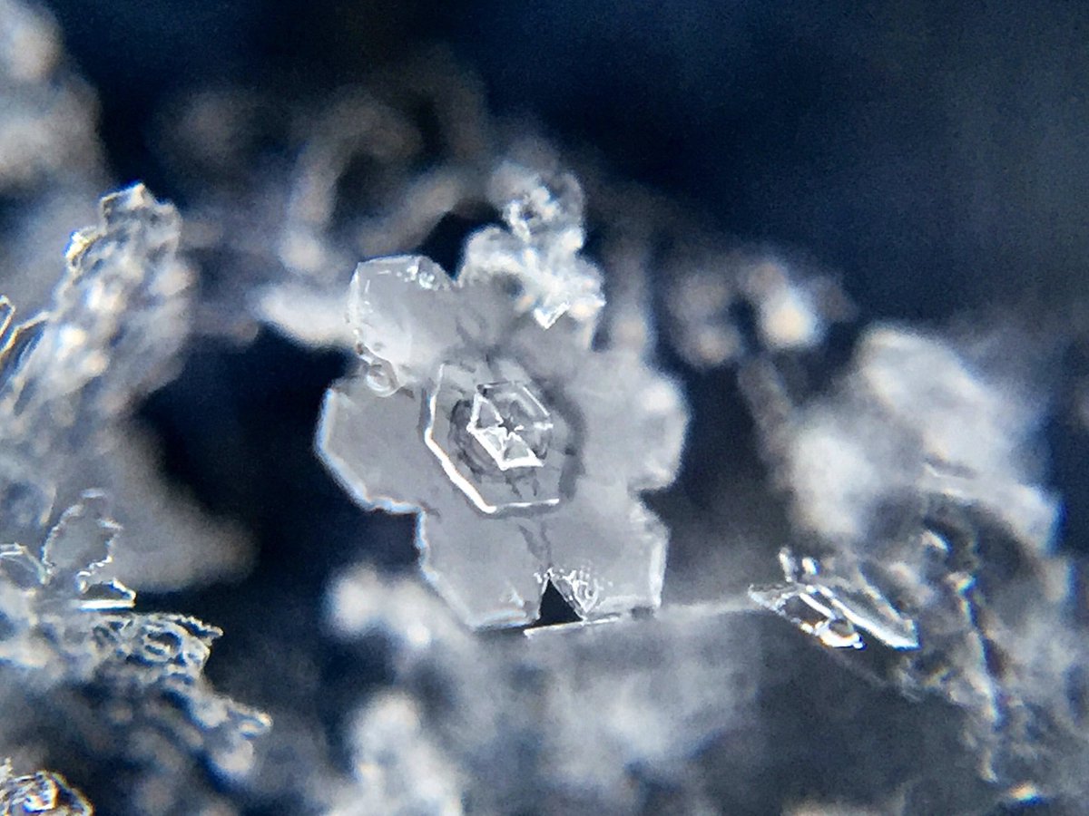#アナ雪 をご視聴の皆様へ.雪結晶はスマホで撮影できます.100均のスマホ用マクロレンズを使うとスマホで手軽にめっちゃ綺麗な写真が撮れちゃいます.コツは最大ズームで接写して連写.マクロレンズつけて被写体から数cmでピントがあいます.世界が変わるのでこの冬に雪が降ったらぜひお試し下さい❄️
