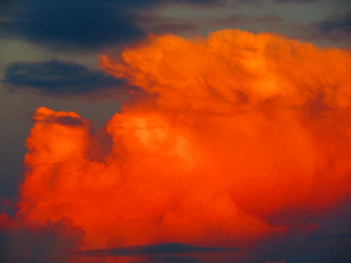 発達した積乱雲のかなとこ雲が上空の風に流されて分離し,かなとこ雲を構成する氷晶が成長しながら落下して繊維質な形状に.その下部ではコブ状の乳房雲ができてるしもとの積乱雲は世代交代してるぽく再発達してるし,それら全てを夕焼け色が包み込んでいてすごすぎる