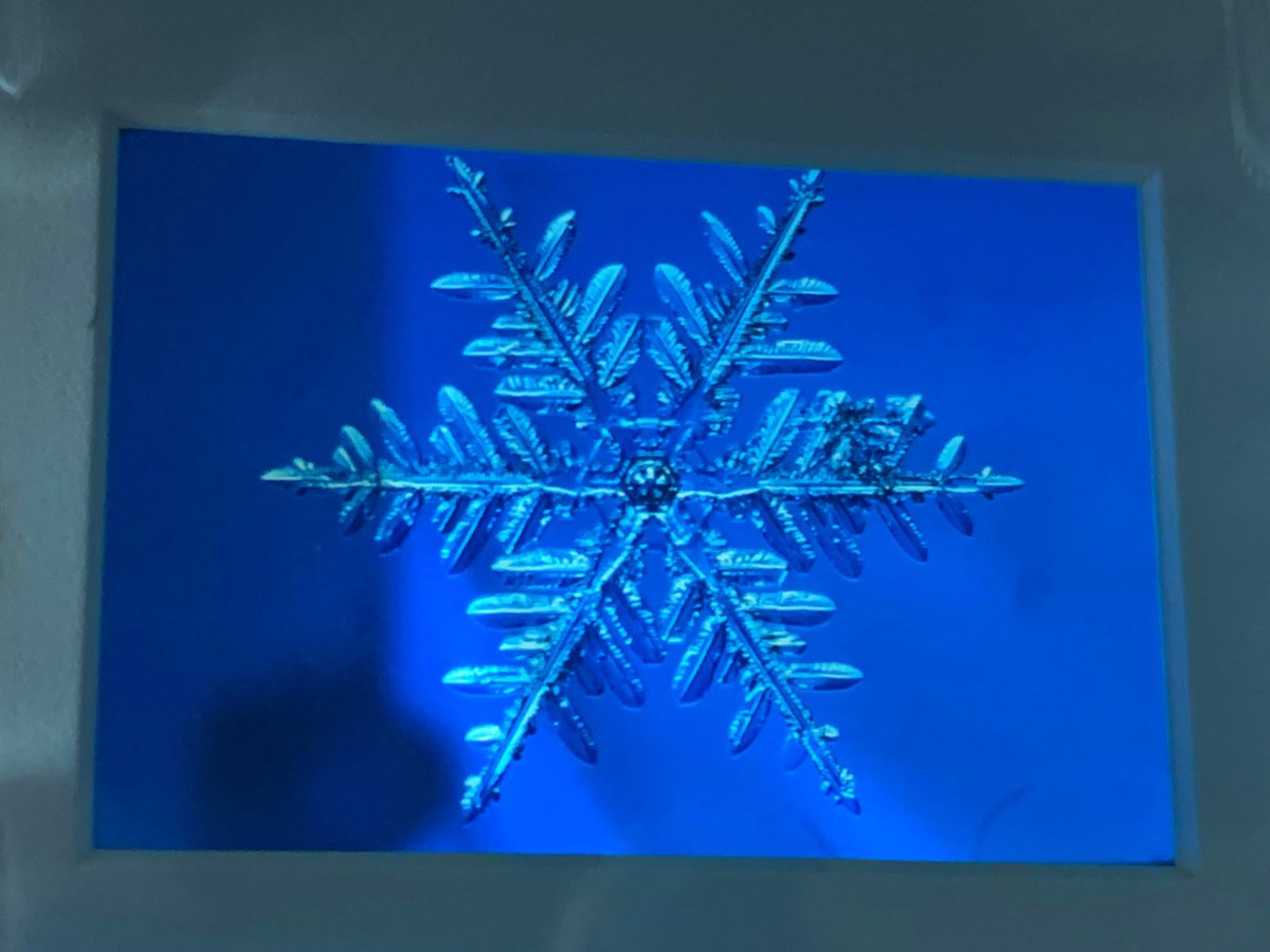 雪の美術館でこれまで展示などされなかった,本当に貴重な資料にも出会うことができました.雪の美術館のきっかけとなった北海道大学の小林禎作先生の撮影された雪の結晶のフィルムやステンドグラス,人工雪装置など,科学的に極めて重要な意味を持つ資料がめちゃくちゃ豊富でした.すごすぎる.