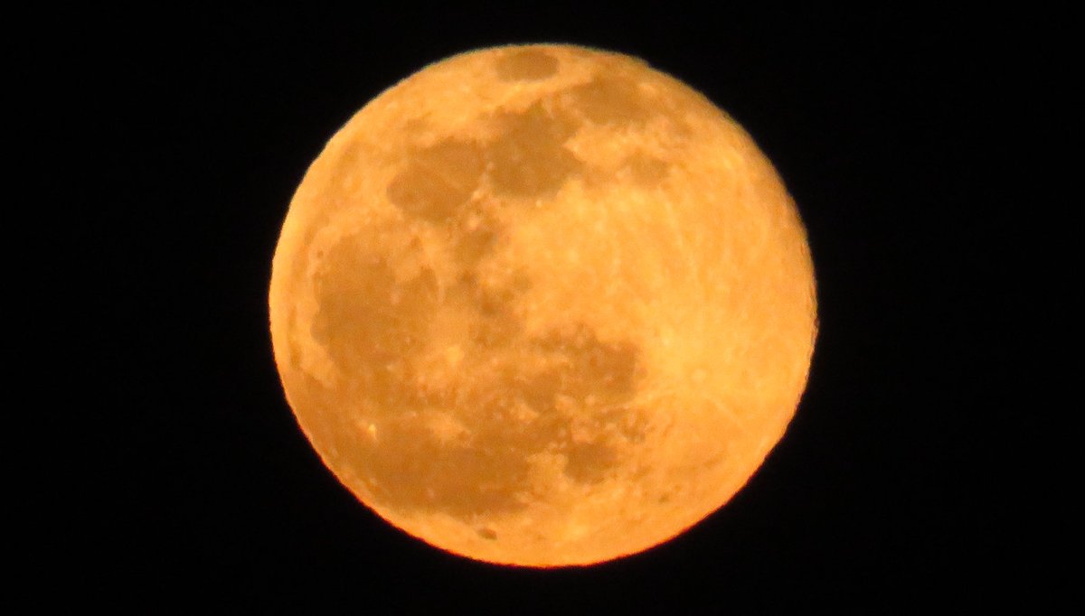 満月が夜空で輝いています🌕 ぜひ夜空を見上げてみてください． 