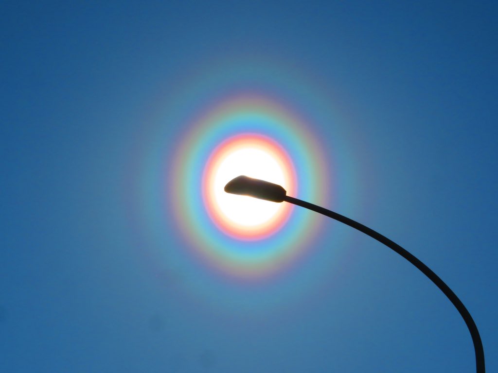  空にスギ花粉などの球形に近い花粉粒子が飛散してるときに，花粉粒子が光を回折して発生するこの時期特有の現象です．今日みたいに雨上がりで晴れて風のある日は好条件です．太陽直視せずに建物や街灯で太陽を隠すと肉眼ではっきり見えます．花粉症の皆さまご自愛ください🤧 