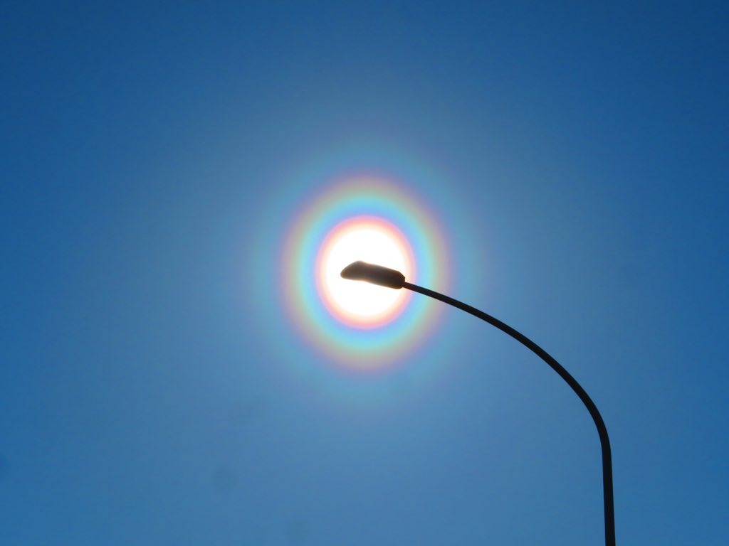  空にスギ花粉などの球形に近い花粉粒子が飛散してるときに，花粉粒子が光を回折して発生するこの時期特有の現象です．今日みたいに雨上がりで晴れて風のある日は好条件です．太陽直視せずに建物や街灯で太陽を隠すと肉眼ではっきり見えます．花粉症の皆さまご自愛ください🤧 