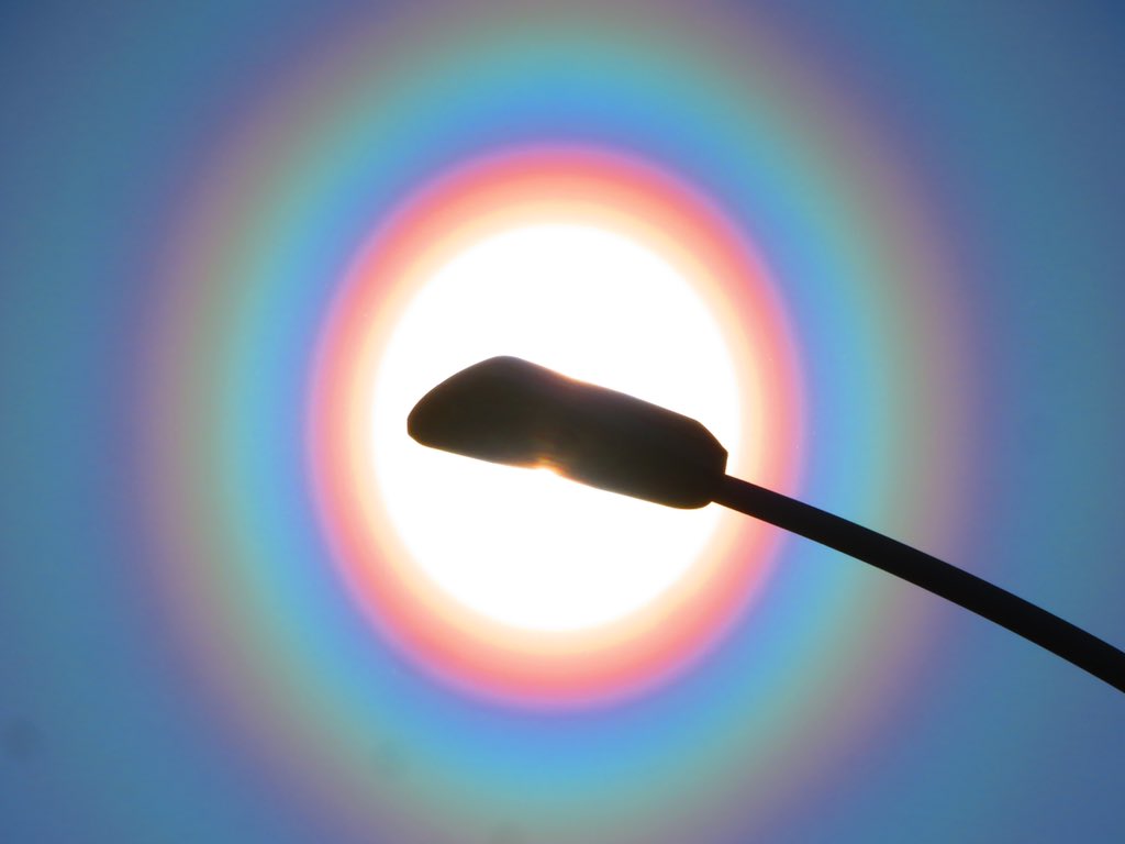  空にスギ花粉などの球形に近い花粉粒子が飛散してるときに，花粉粒子が光を回折して発生するこの時期特有の現象です．今日みたいに雨上がりで晴れて風のある日は好条件です．太陽直視せずに建物や街灯で太陽を隠すと肉眼ではっきり見えます．花粉症の皆さまご自愛ください🤧 