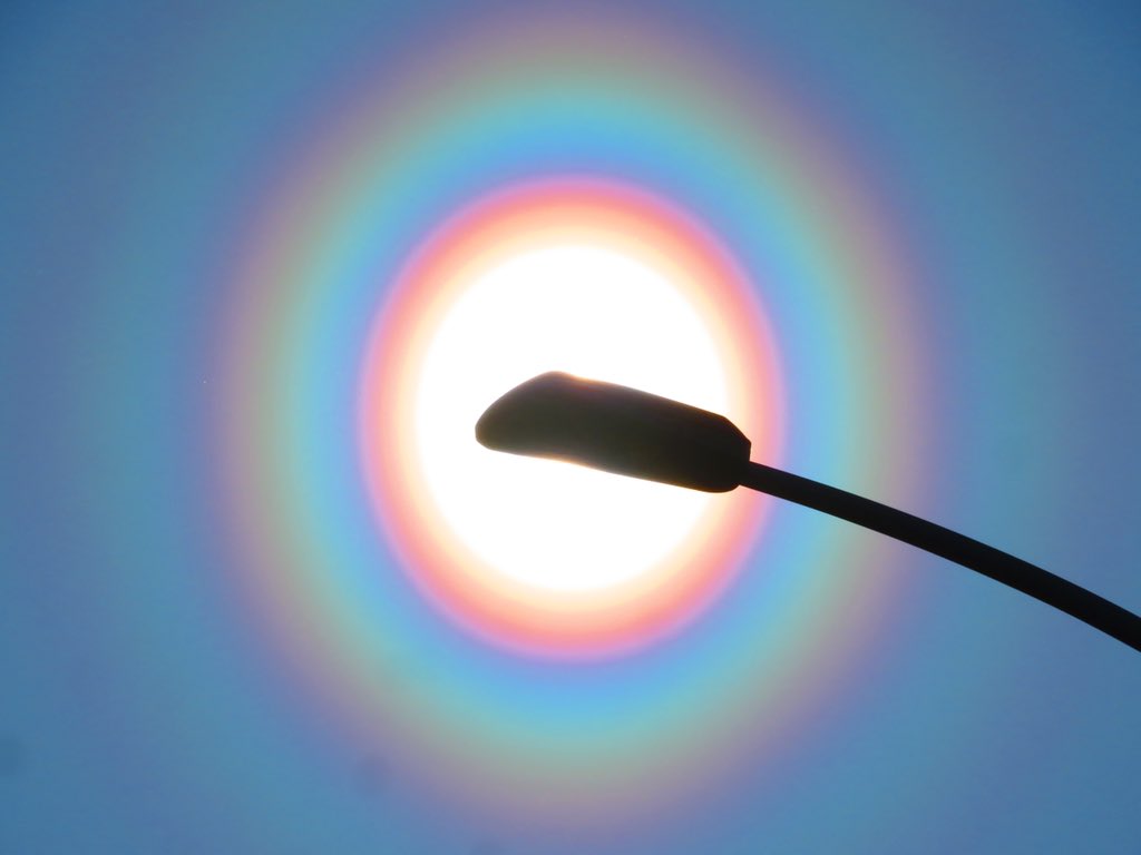  空にスギ花粉などの球形に近い花粉粒子が飛散してるときに，花粉粒子が光を回折して発生するこの時期特有の現象です．今日みたいに雨上がりで晴れて風のある日は好条件です．太陽直視せずに建物や街灯で太陽を隠すと肉眼ではっきり見えます．花粉症の皆さまご自愛ください🤧 