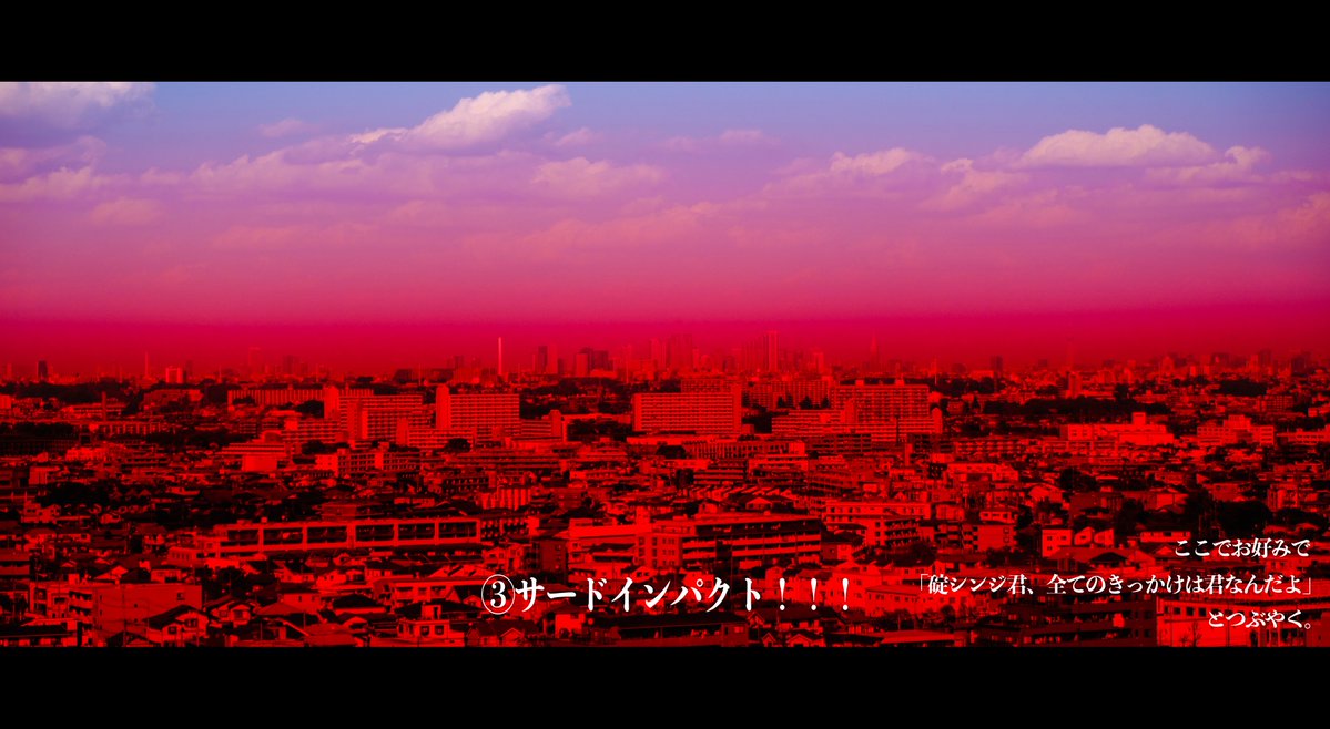   （シンジ君同様、周囲から痛い目で見られる点に注意