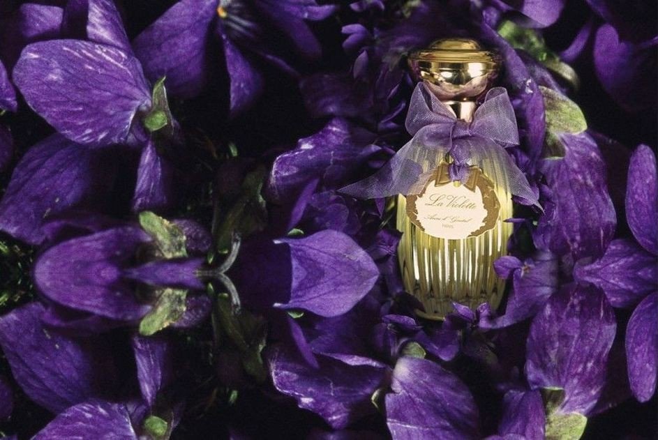 シェイクスピアの「真夏の夜の夢」でスミレの花びらを搾った雫が惚れ薬として使われることからもわかるように、スミレの香りは昔から恋に効くおまじないとして重宝されていたそう