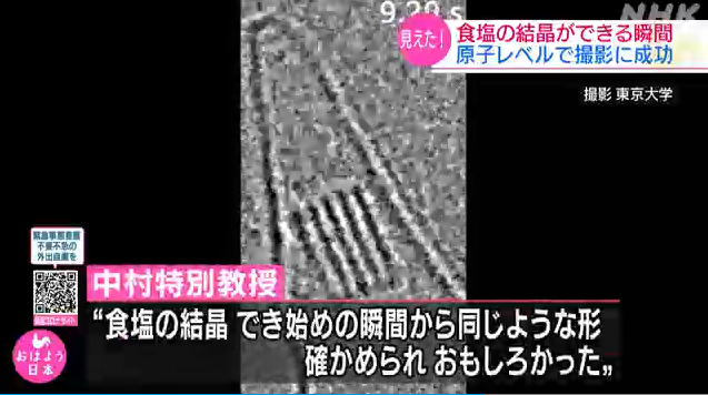 業績は世界レベルなんだけど感想が小学生みたいな好奇心でほんわかしちゃった　   