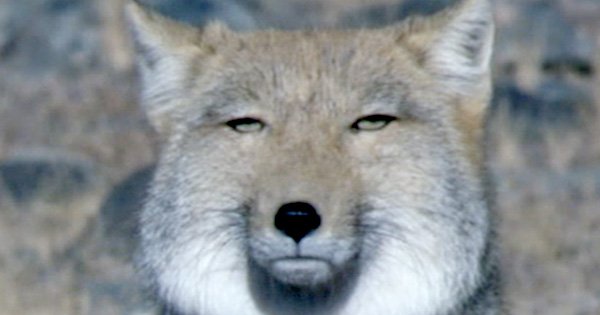 って言った時の(ああ、コイツもか…)と暗に語るお医者の目