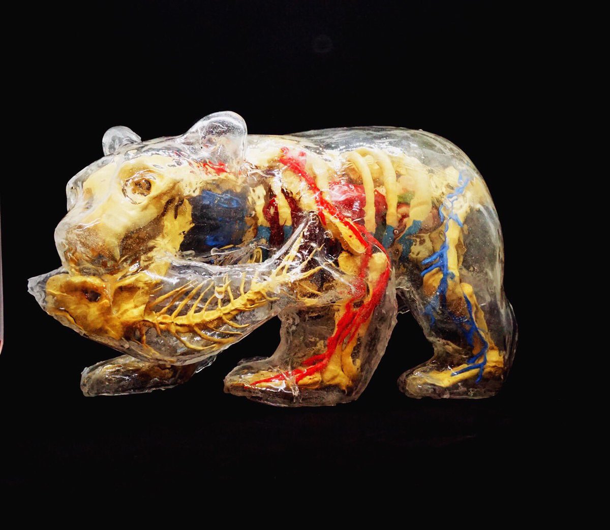 薄型テレビの普及によってクマの置物の存続が危ぶまれてます