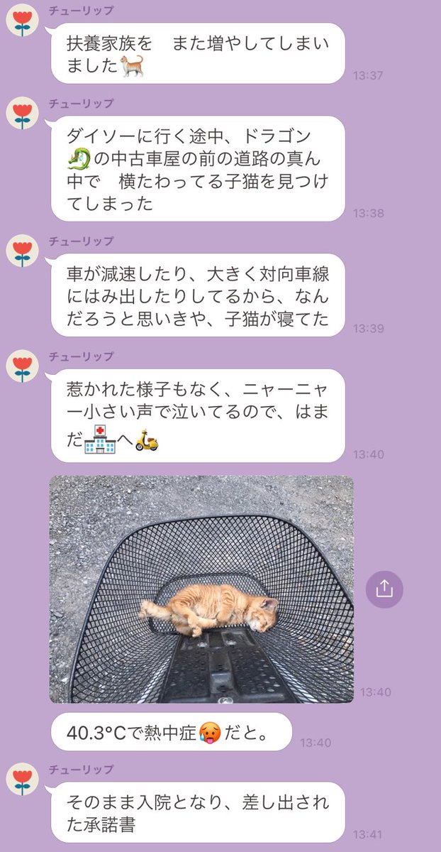 母からのLINE。 見て見ぬふりは出来ないよなー。 