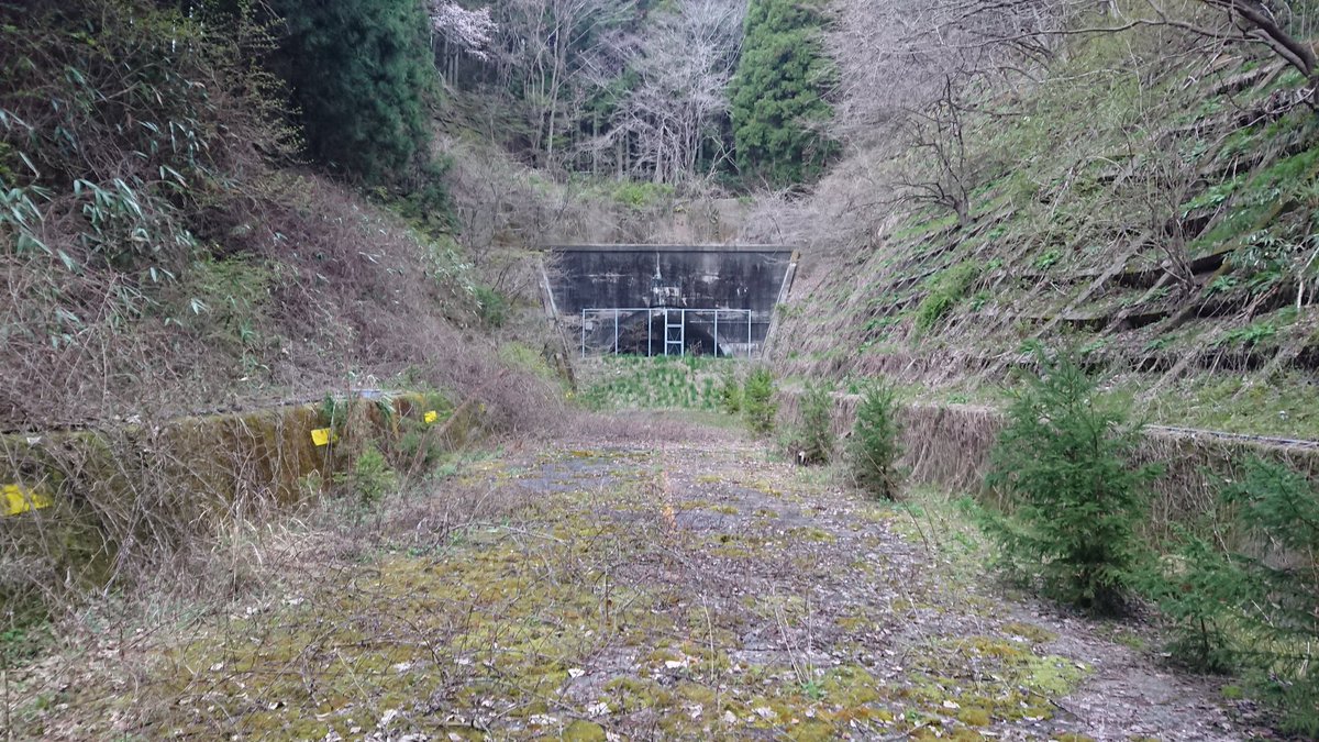 自然の力ってすごいね 