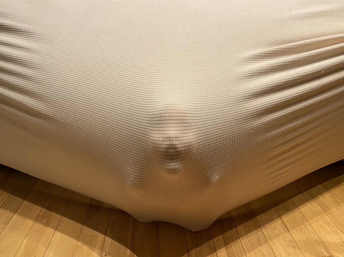 いつになく部屋が静かだと思ったら…  ヒィィイッッッ