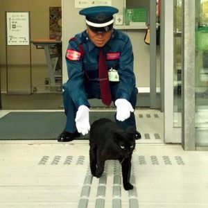 ですが、馬屋原さんが来るのは年4回の特別展の時だけなんだそう😺