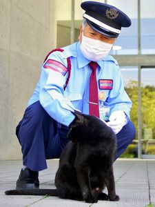 ですが、馬屋原さんが来るのは年4回の特別展の時だけなんだそう😺