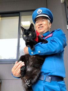 ですが、馬屋原さんが来るのは年4回の特別展の時だけなんだそう😺