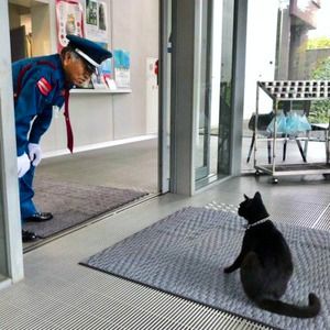 ですが、馬屋原さんが来るのは年4回の特別展の時だけなんだそう😺