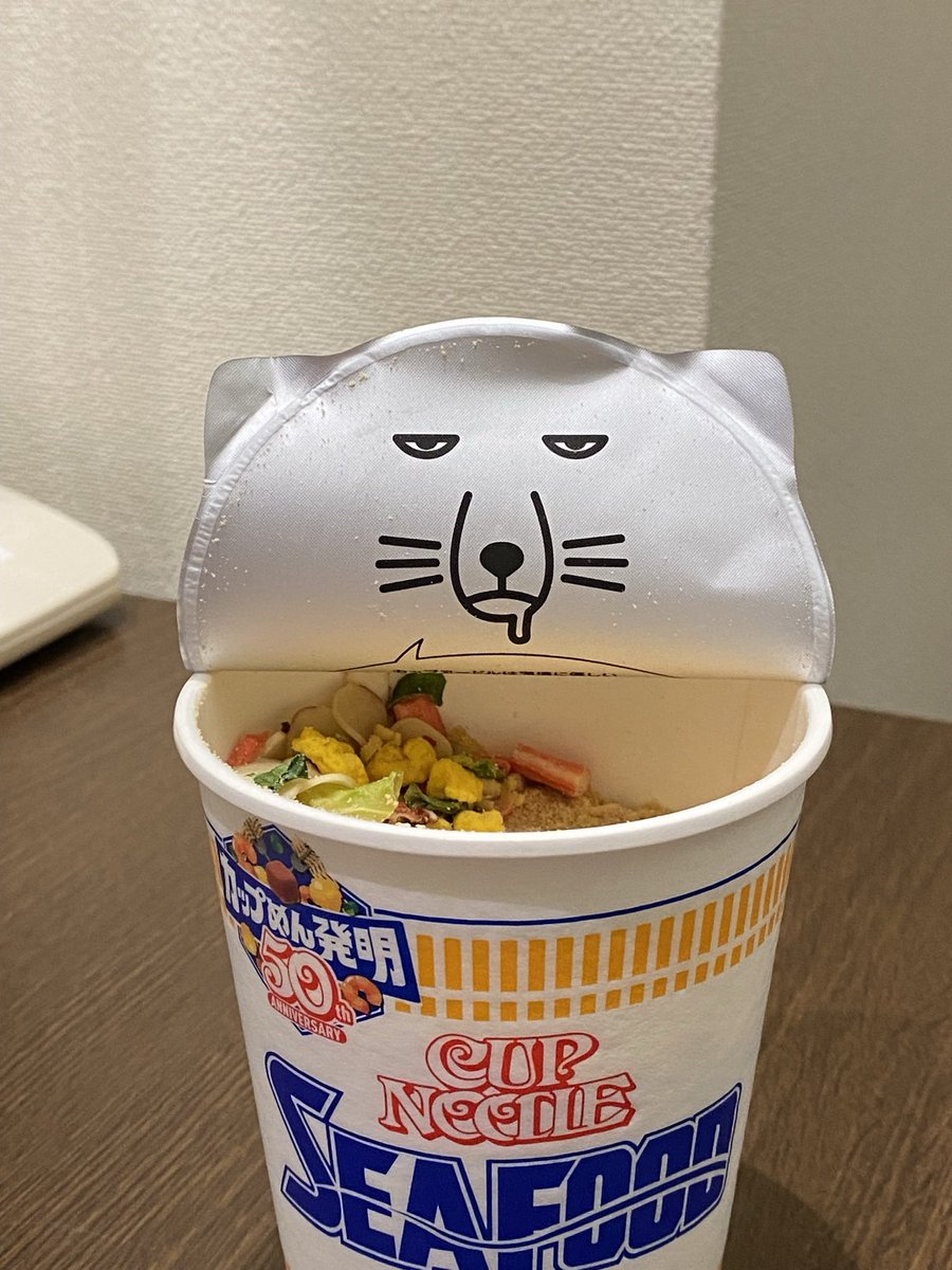 可愛いねこちゃんが現れる事を期待して開けた私のウキウキを返して欲しい…… 