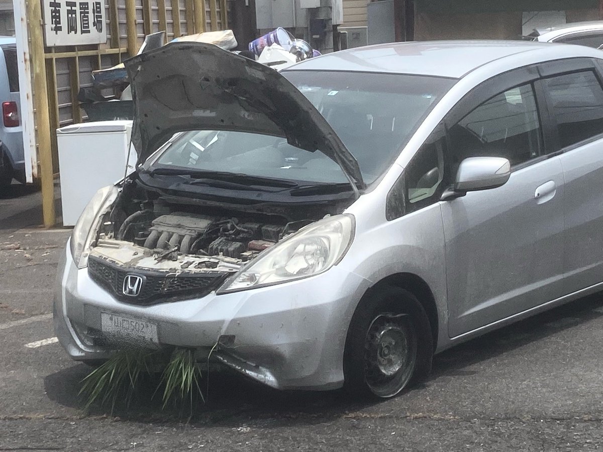 昨日、草を食べるフィットを見た。 