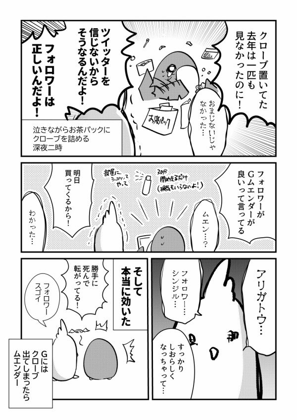 フォロワーを信じろ 