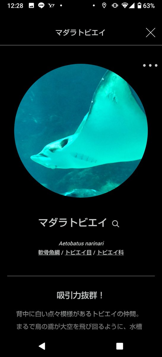 マリンワールドの図鑑アプリいれてみたけど横切った子供まで認識するの笑うw 
