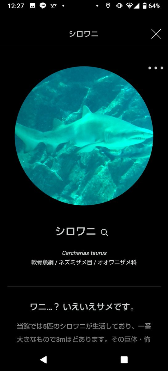 マリンワールドの図鑑アプリいれてみたけど横切った子供まで認識するの笑うw 