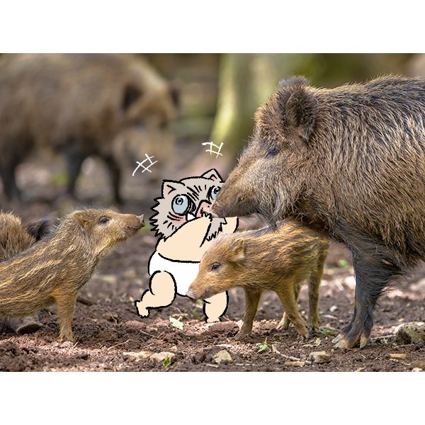 イノシシ一家 その2🐗❤🐗 #鬼滅の刃 #嘴平伊之助 