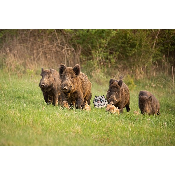 イノシシ一家 その2🐗❤🐗 #鬼滅の刃 #嘴平伊之助 