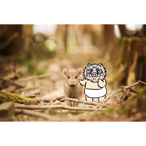 イノシシ一家 その2🐗❤🐗 #鬼滅の刃 #嘴平伊之助 