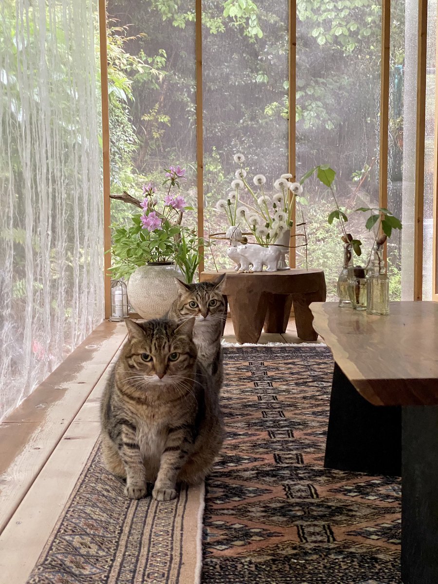 雨が強いときはデッキのヘリが濡れるので、絨毯を折っている