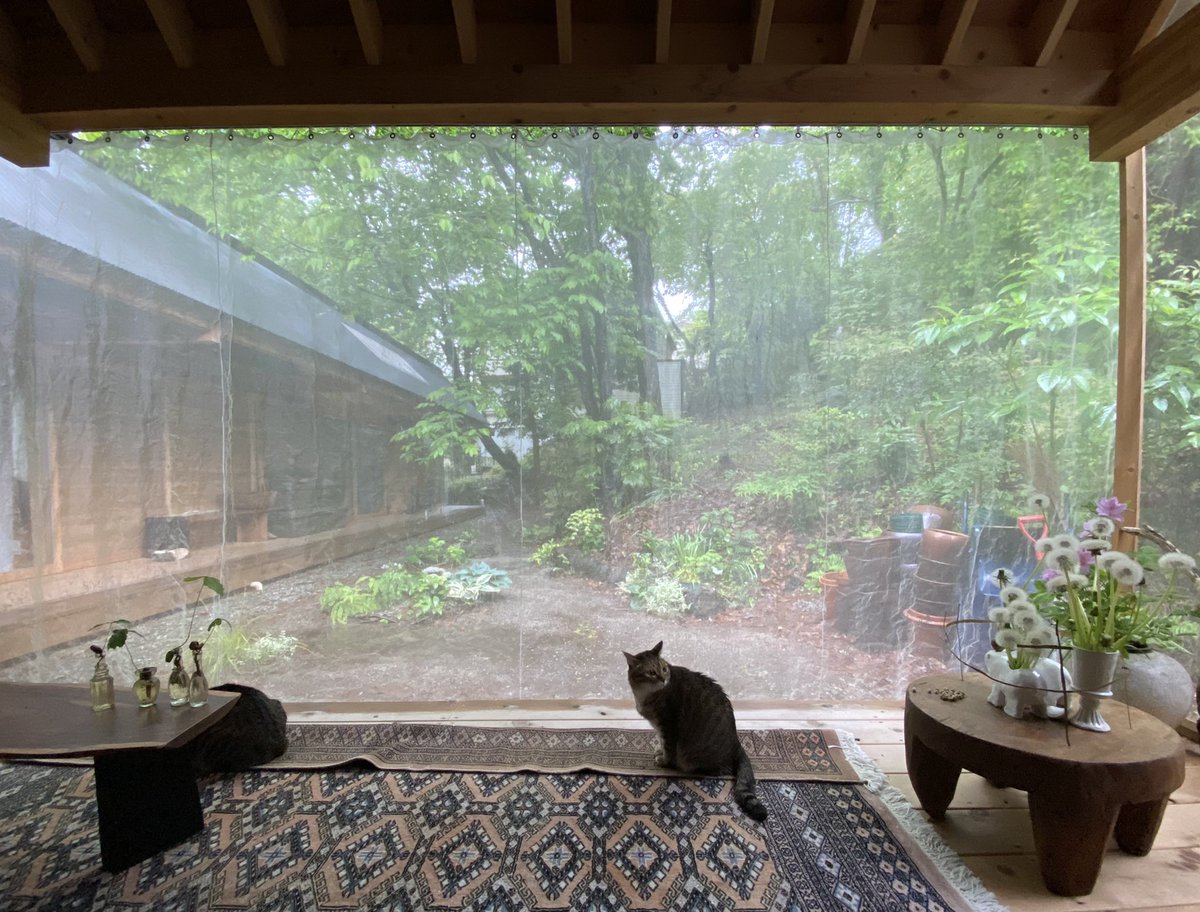 雨が強いときはデッキのヘリが濡れるので、絨毯を折っている