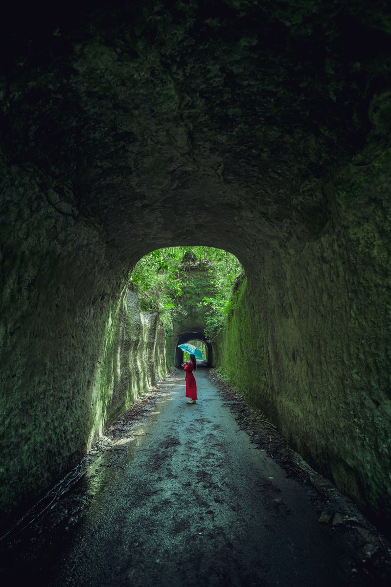 千葉県にある 新緑世界の入口🌿 
