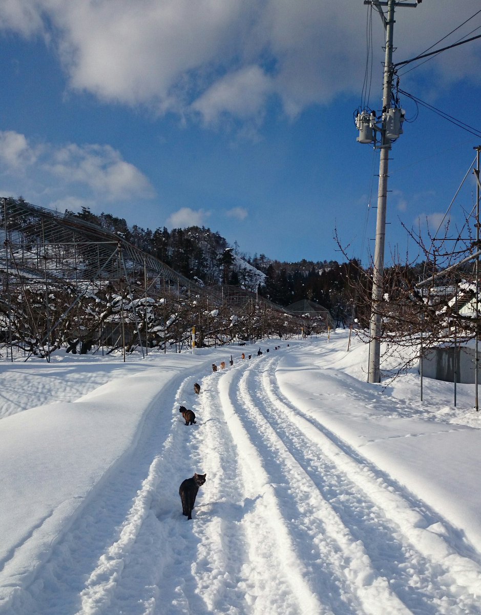 何の列? ソーシャルディスタンス?