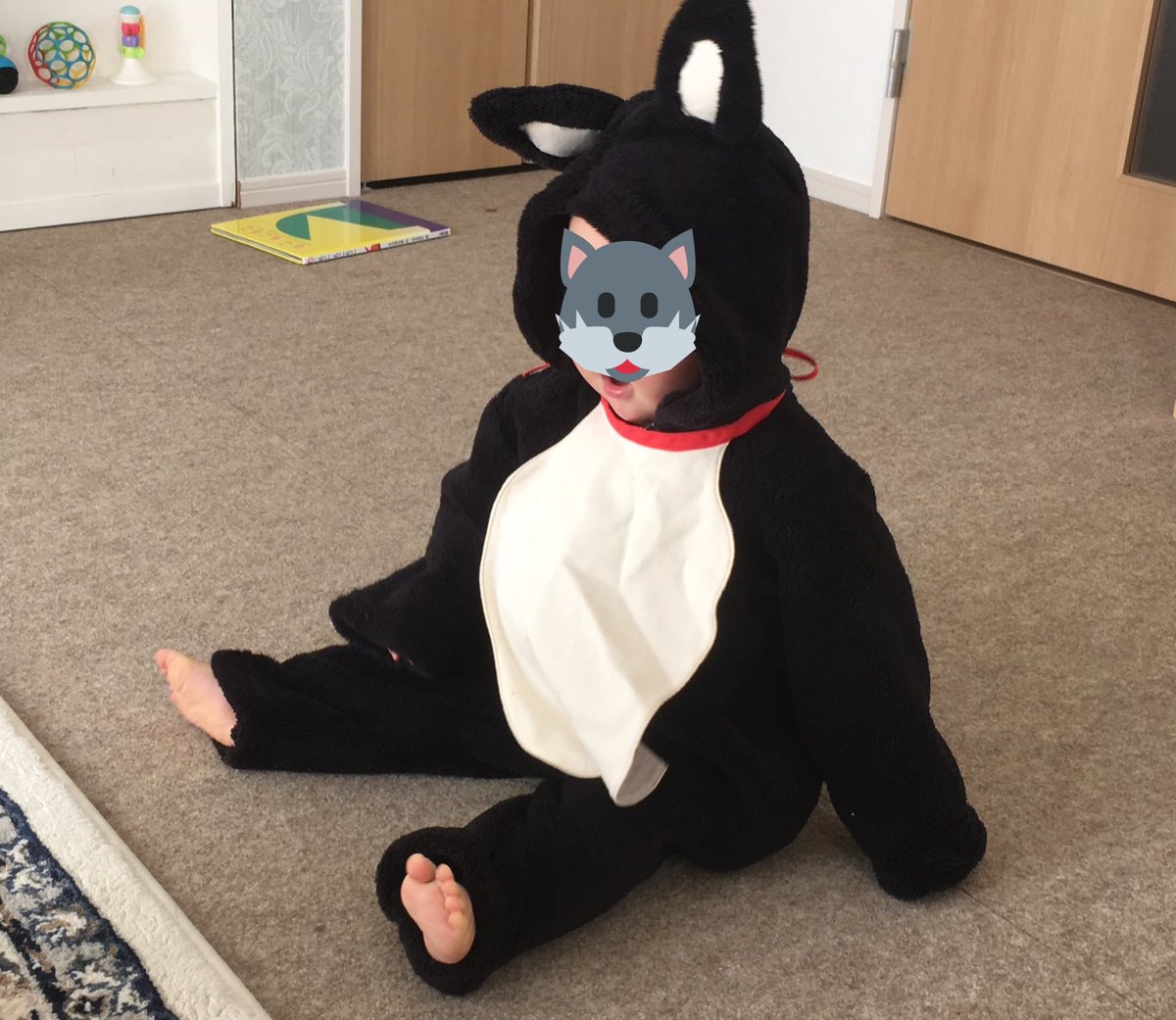 これは子が初めて犬ウェアを着た時の、大喜びで次々におもちゃを持って行ったり遊びに誘ったりしている犬 