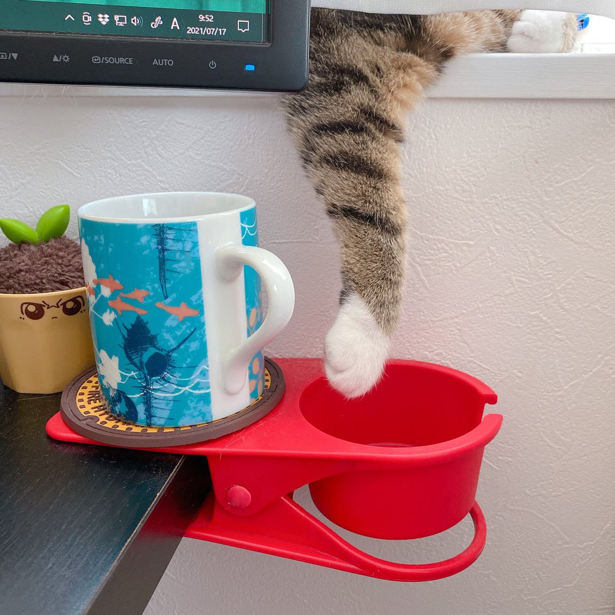 カップ掴むつもりでねこの手を握って怒られたんだけど、こんなトラップになってると思わないじゃないですか