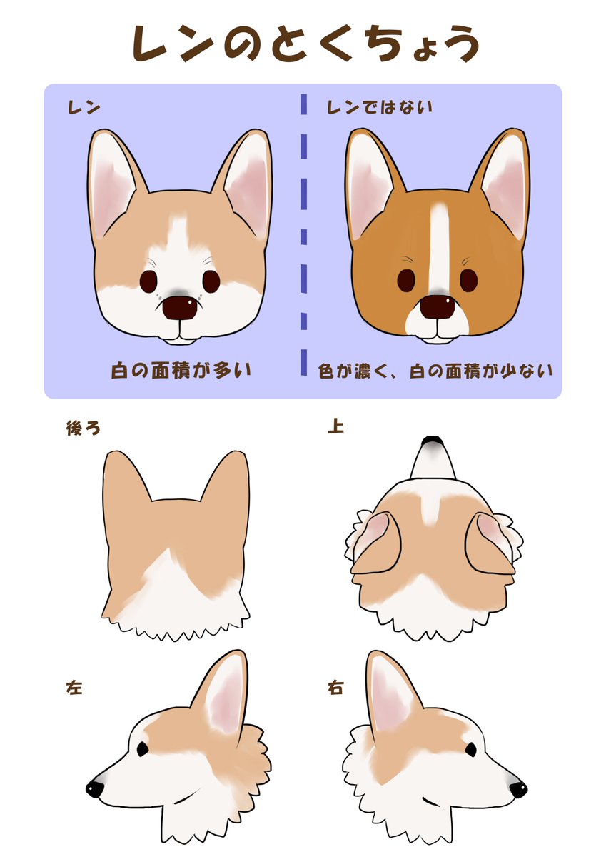 一か月以上経った今もたくさんの方に協力して頂けてます