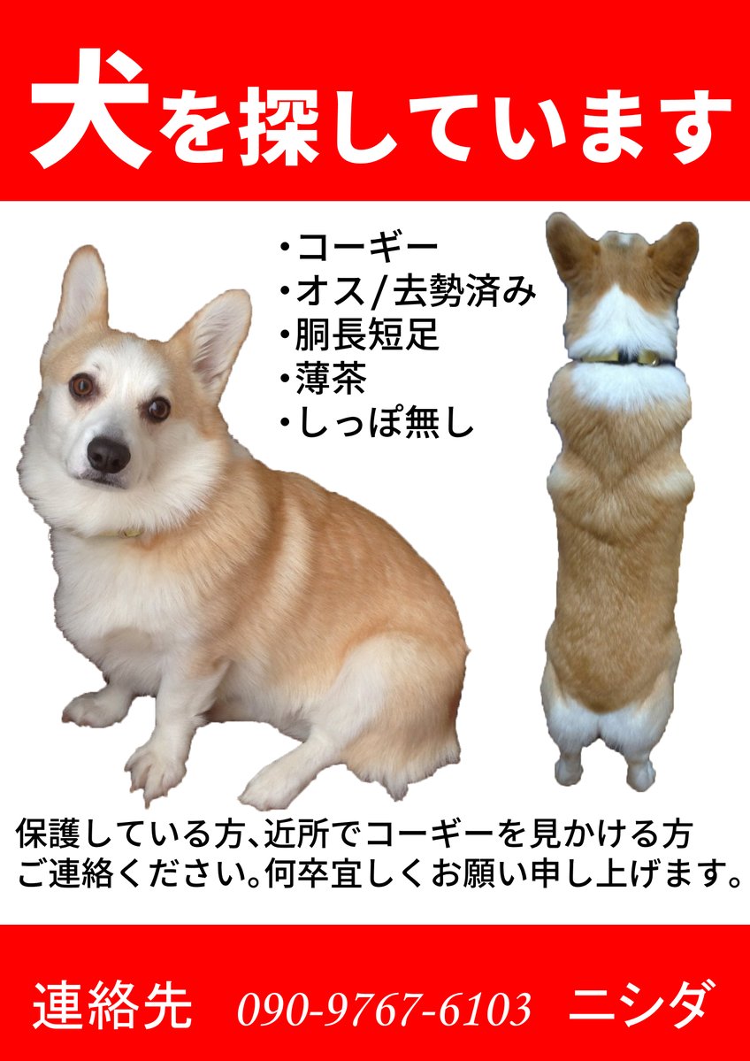 一か月以上経った今もたくさんの方に協力して頂けてます