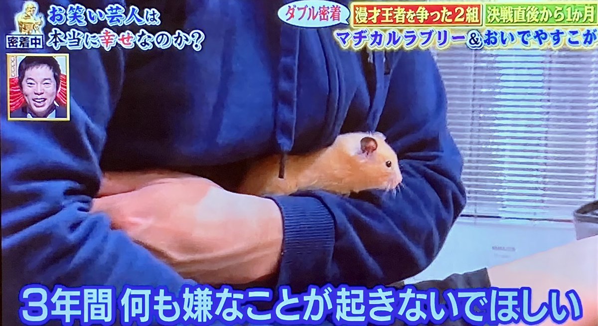 はむはむを溺愛する野田 「守ってやらないと…3年間何も嫌なことが起きないでほしい」 ハムスターの寿命は3年位 ネット購入出来るエサは全て買って好みを把握